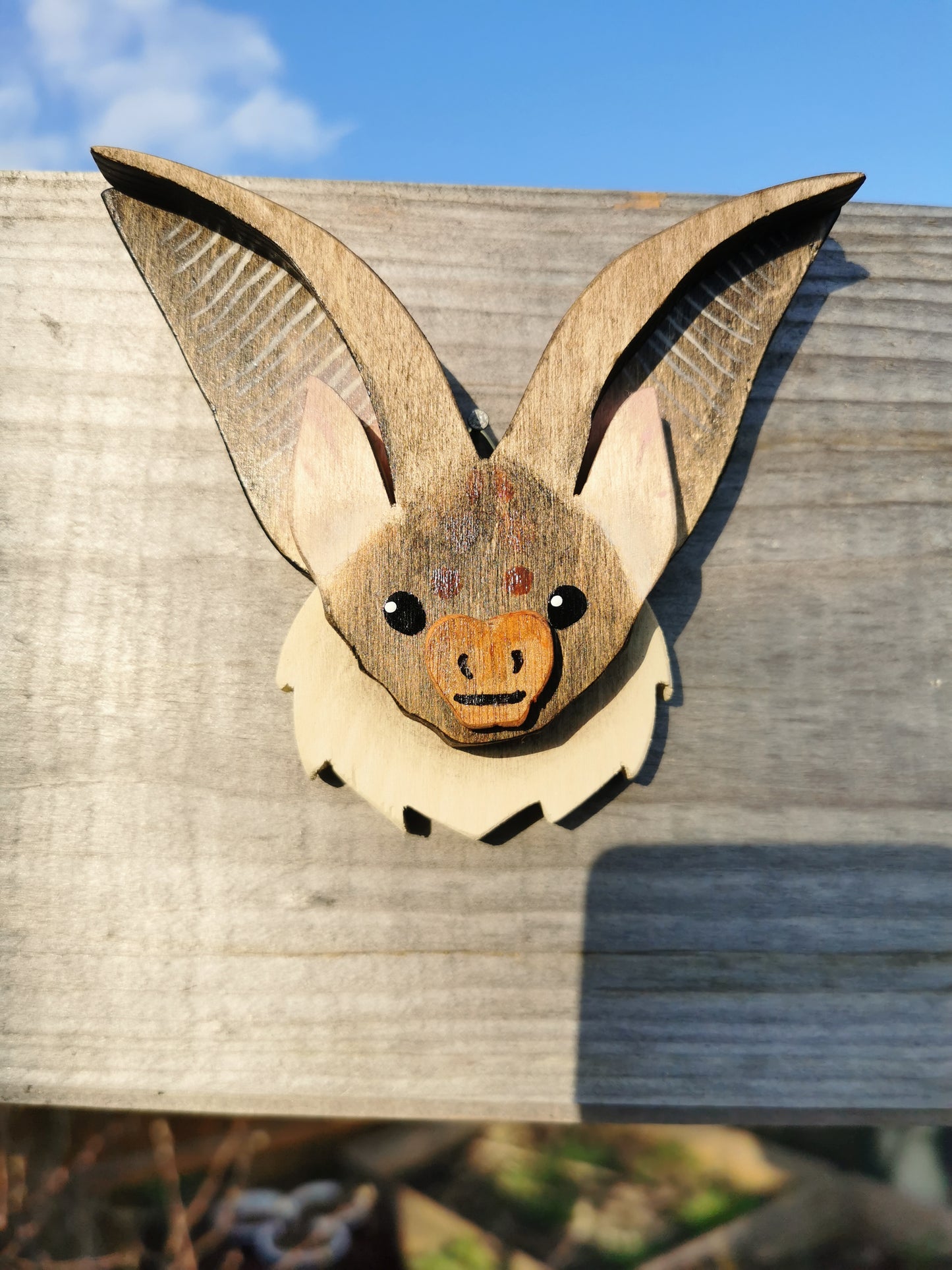Long Eared Bat