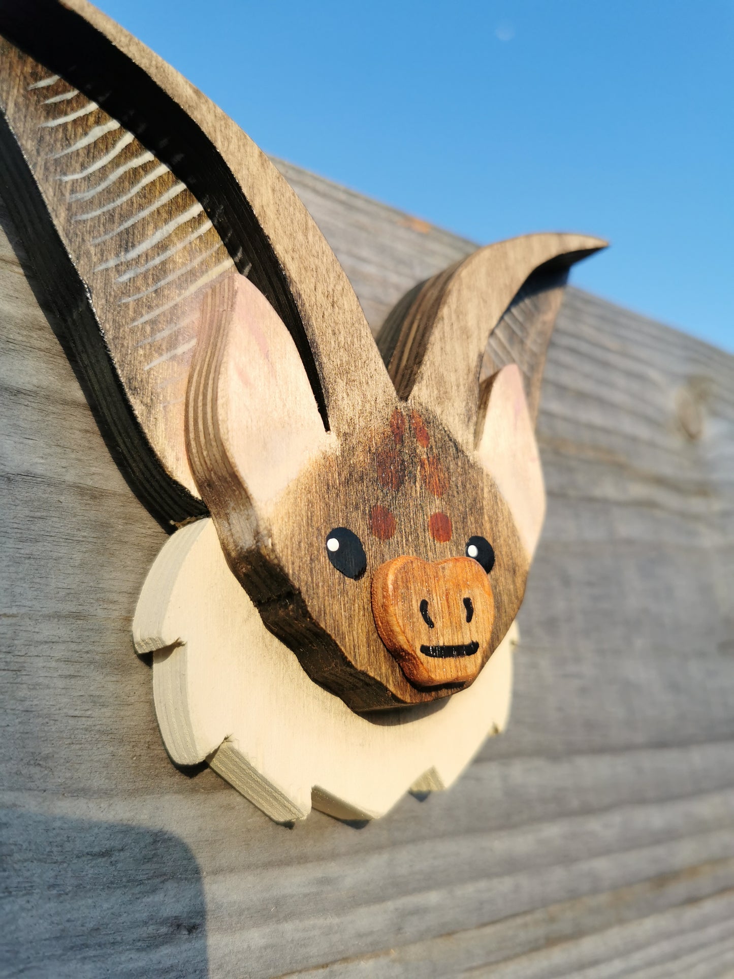 Long Eared Bat