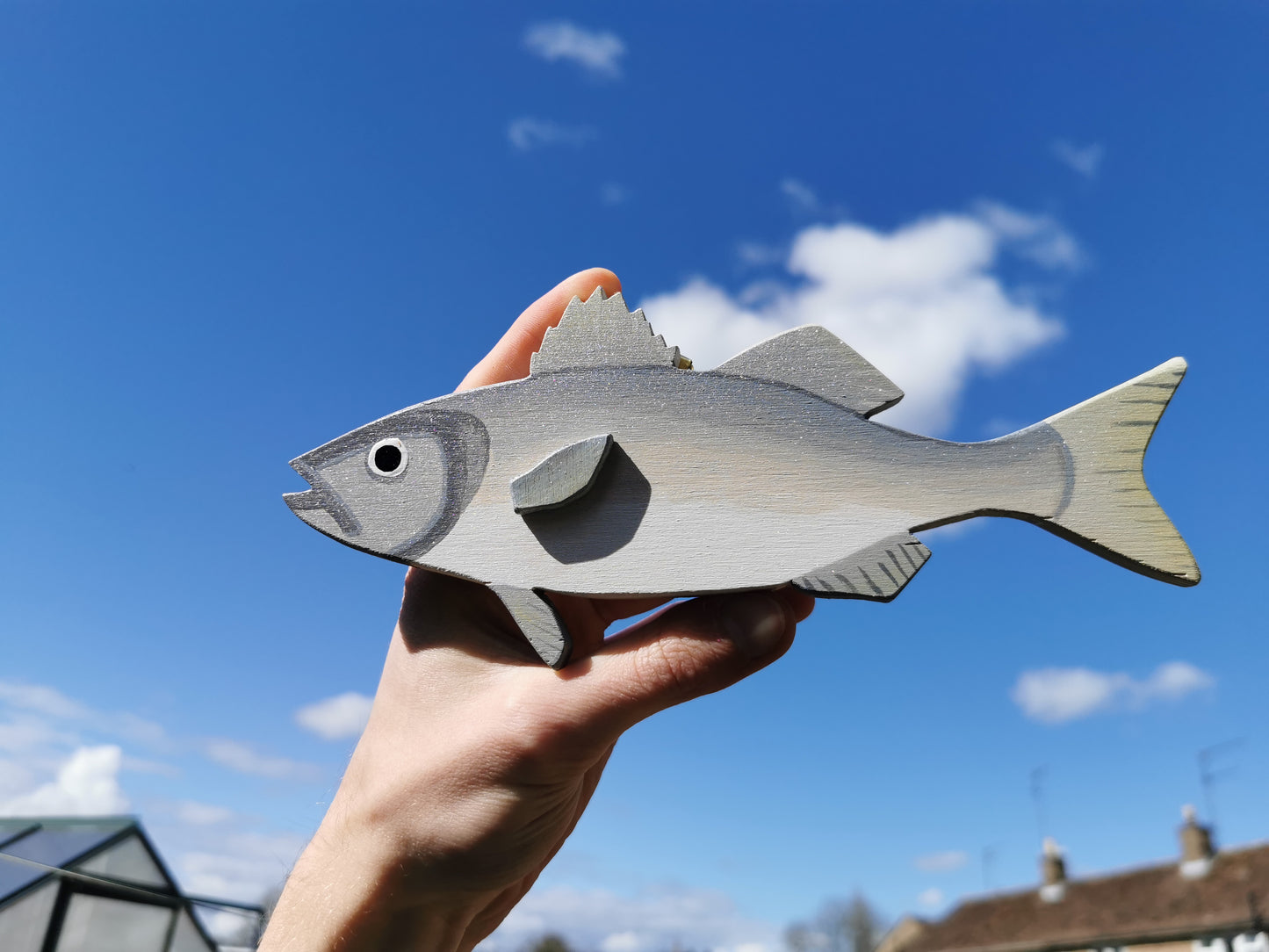 Sea Bass Fish