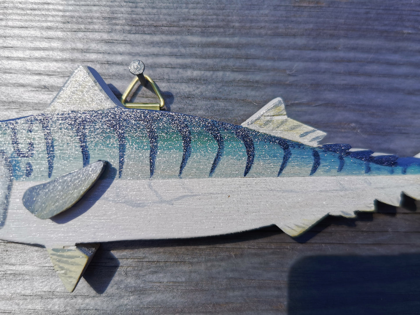 Mackerel Fish