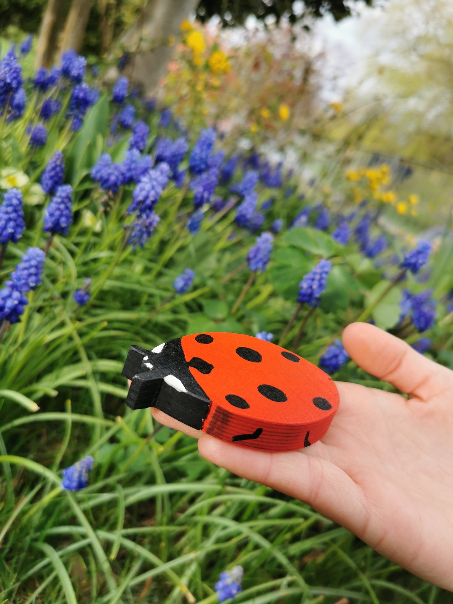 Ladybird