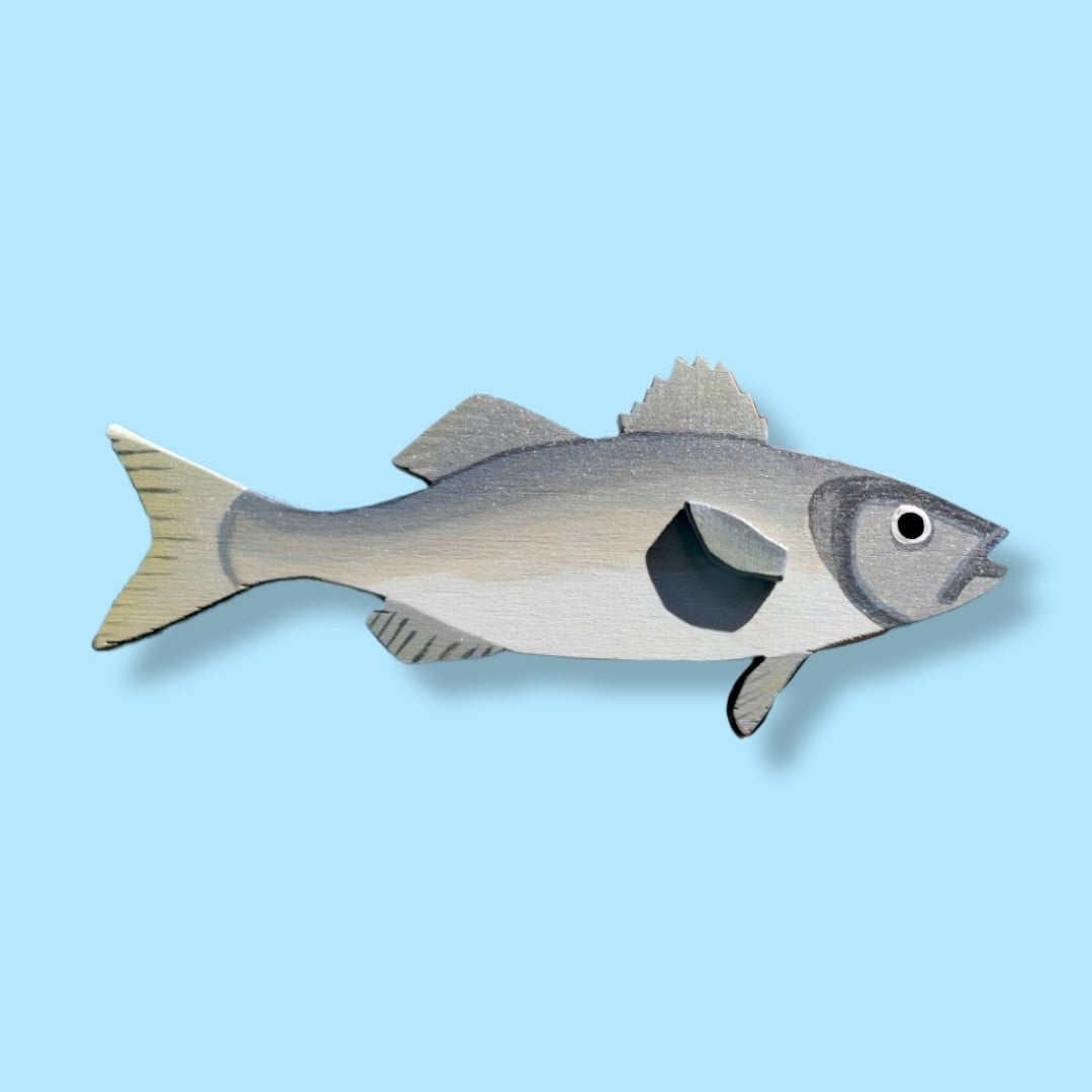 Sea Bass Fish