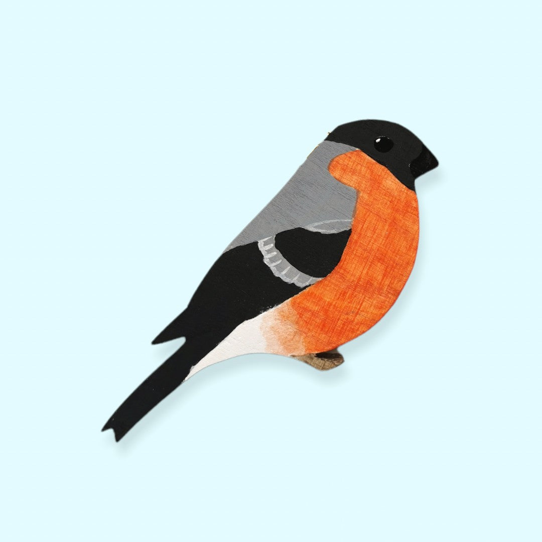 Bullfinch