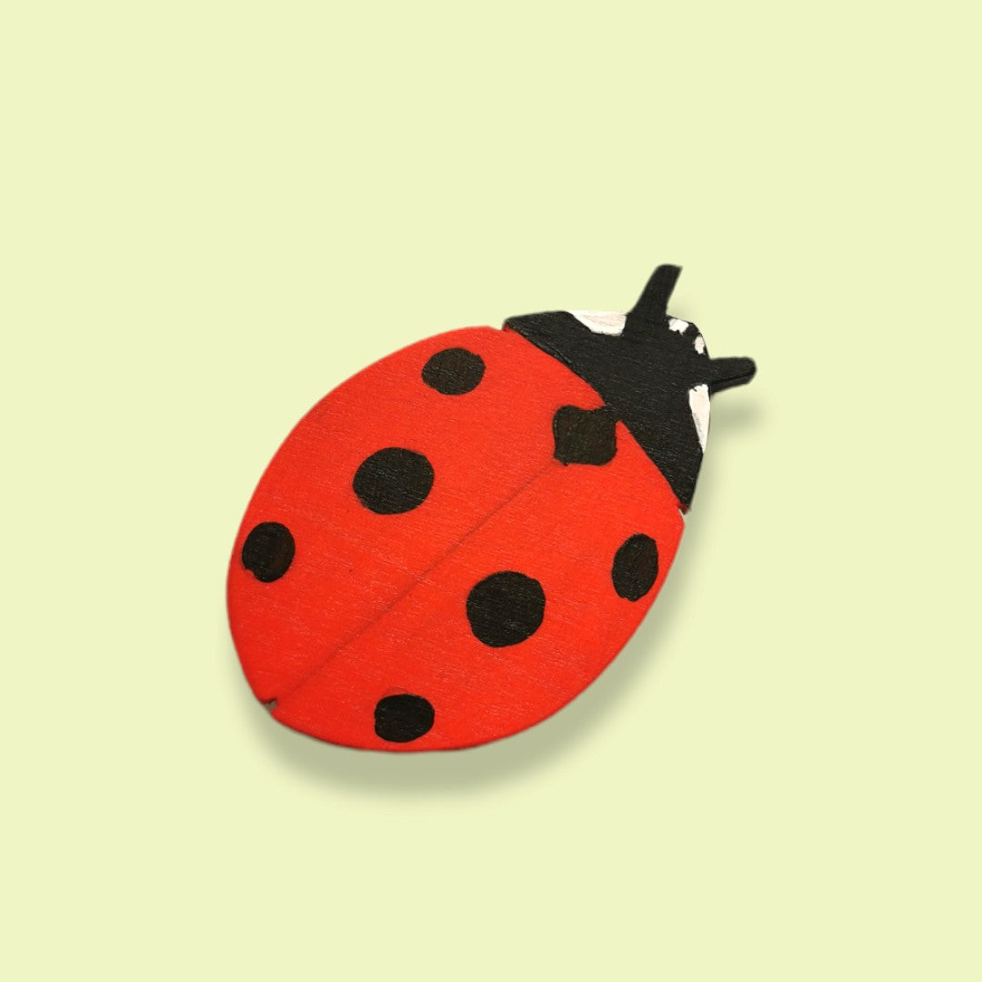 Ladybird