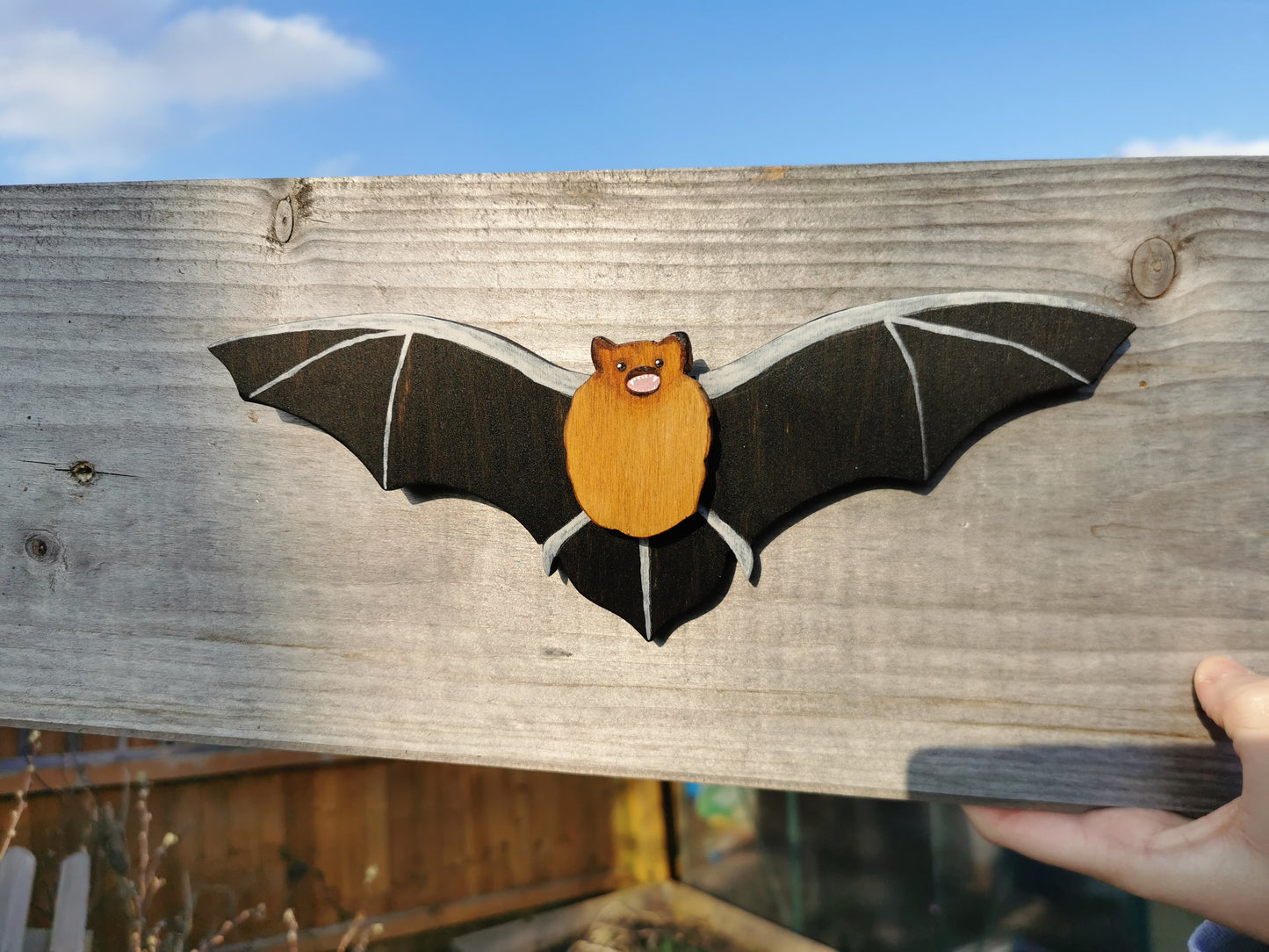 Pipistrelle Bat