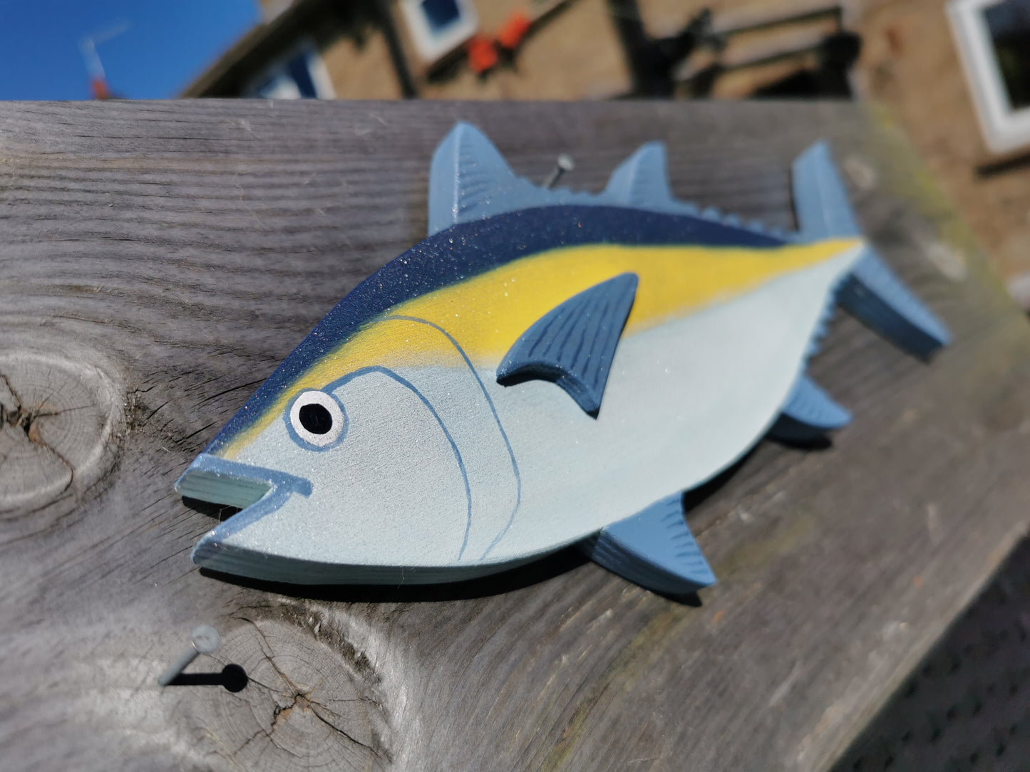 Blue Fin Tuna