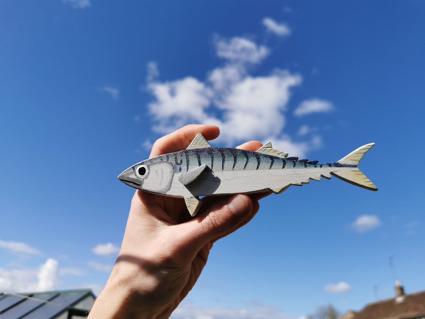 Mackerel Fish