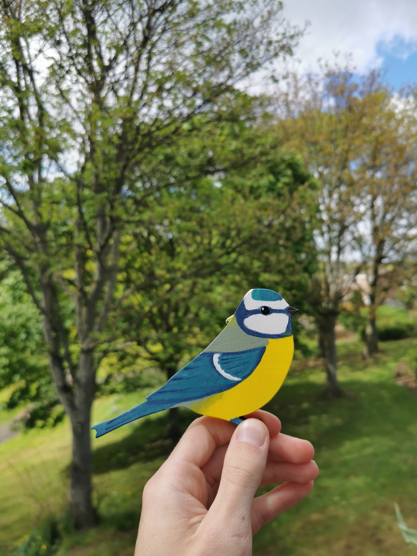 Blue Tit