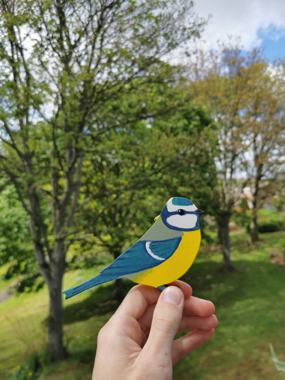 Blue Tit