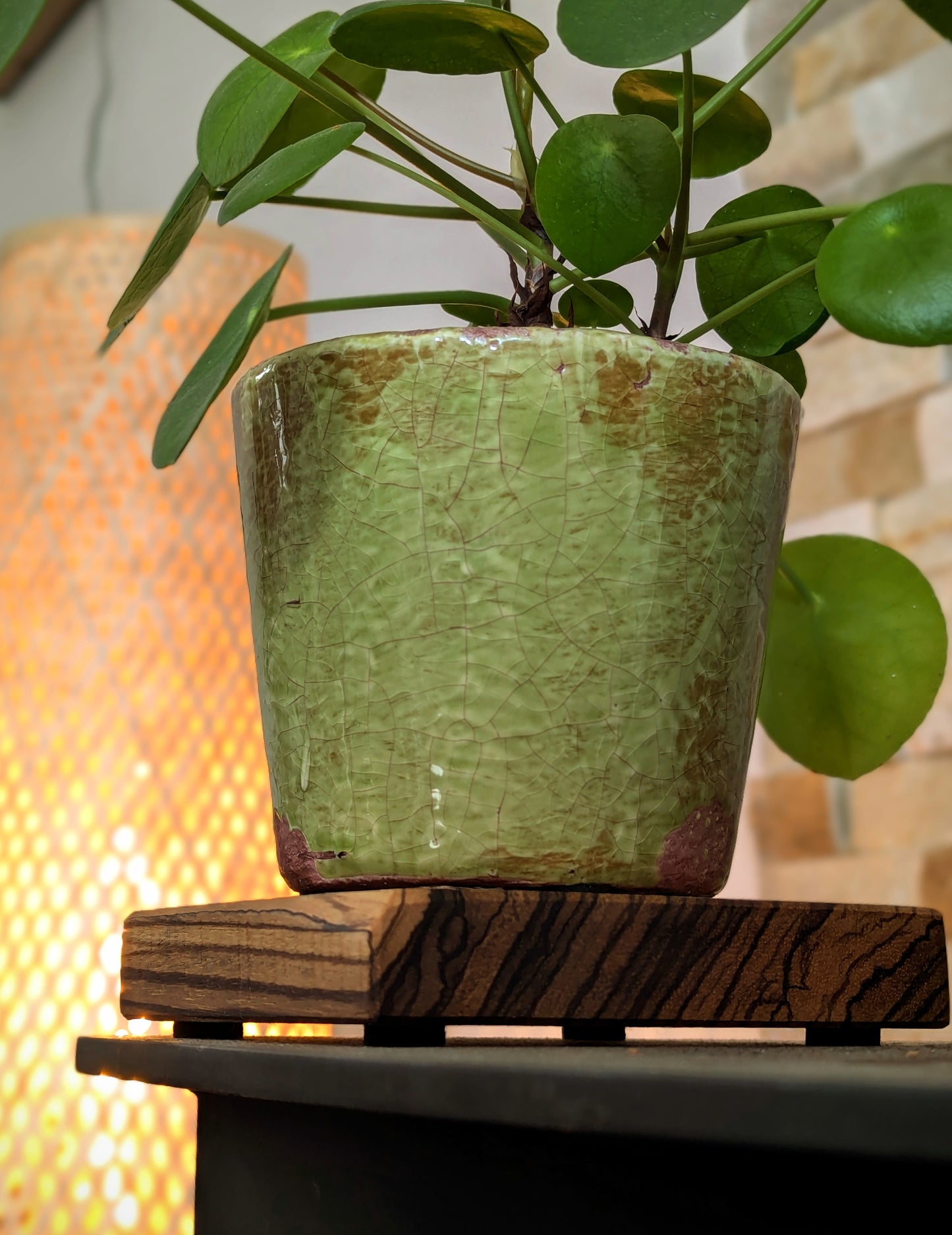 Zebrano Chunky Coaster Oil finish